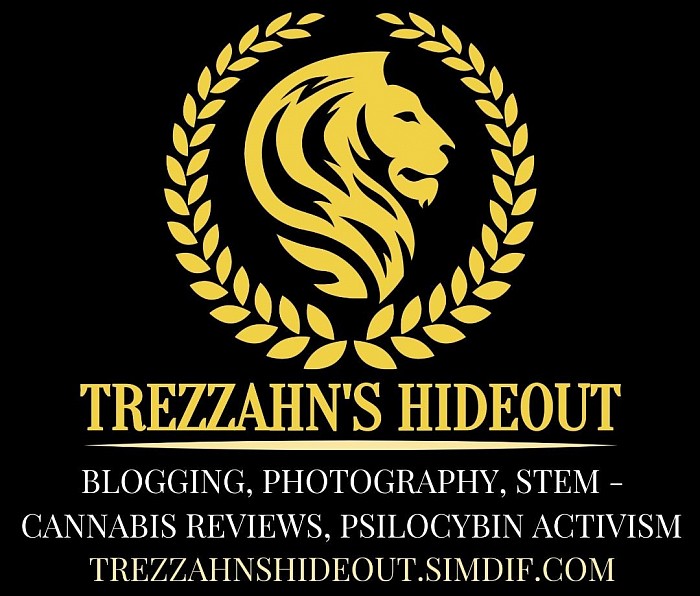 Trezzahn's Hideout Footer
